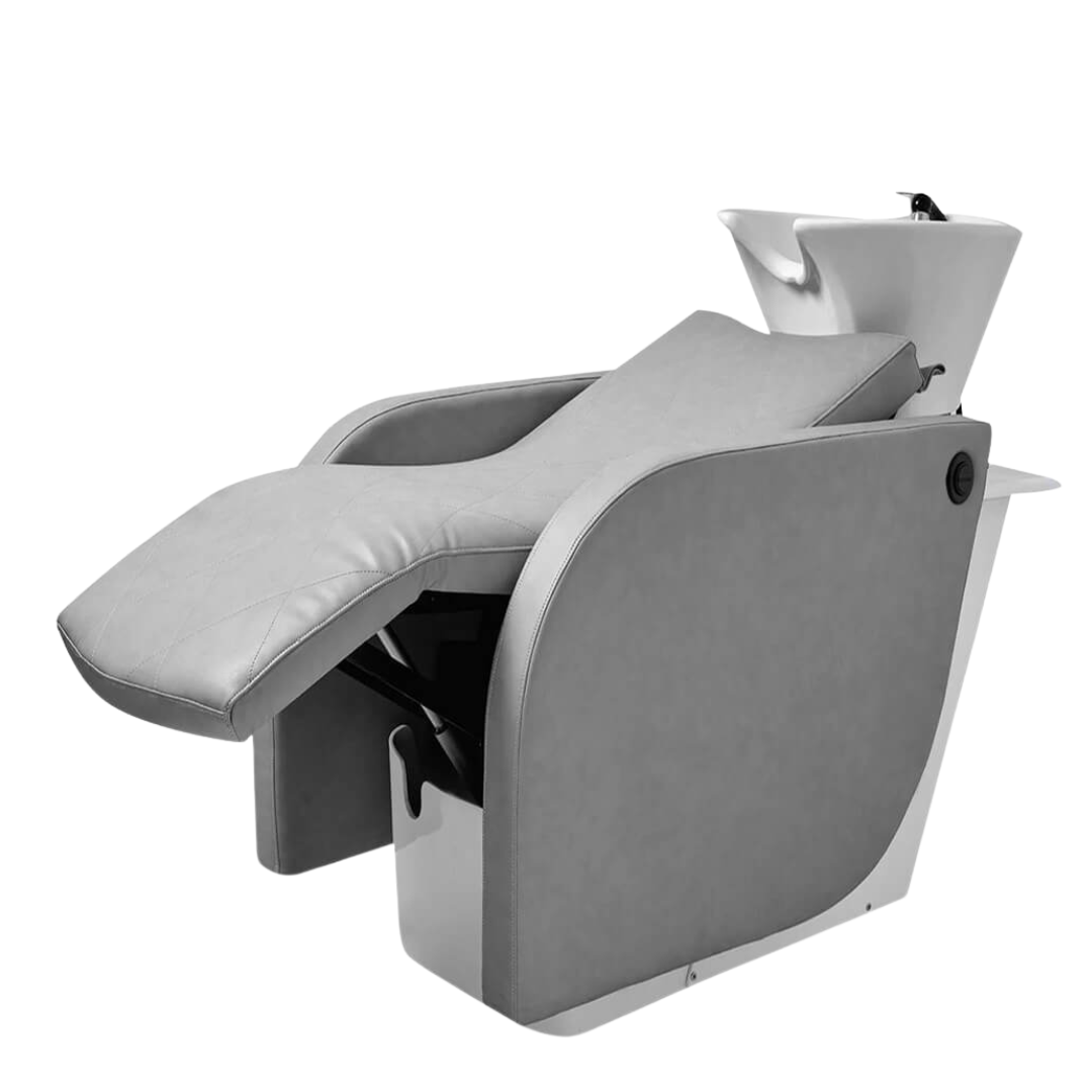 HydroLux Aqua Motion Motorized Hair Wash station